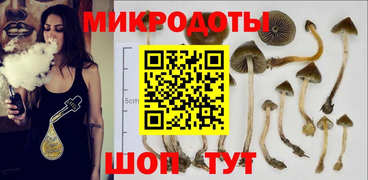 Галлюциногенные грибы GOLDEN TEACHER  Вход с VPN  Батайск  продажа наркотиков  Псилоцибиновые грибы Psilocybe 
