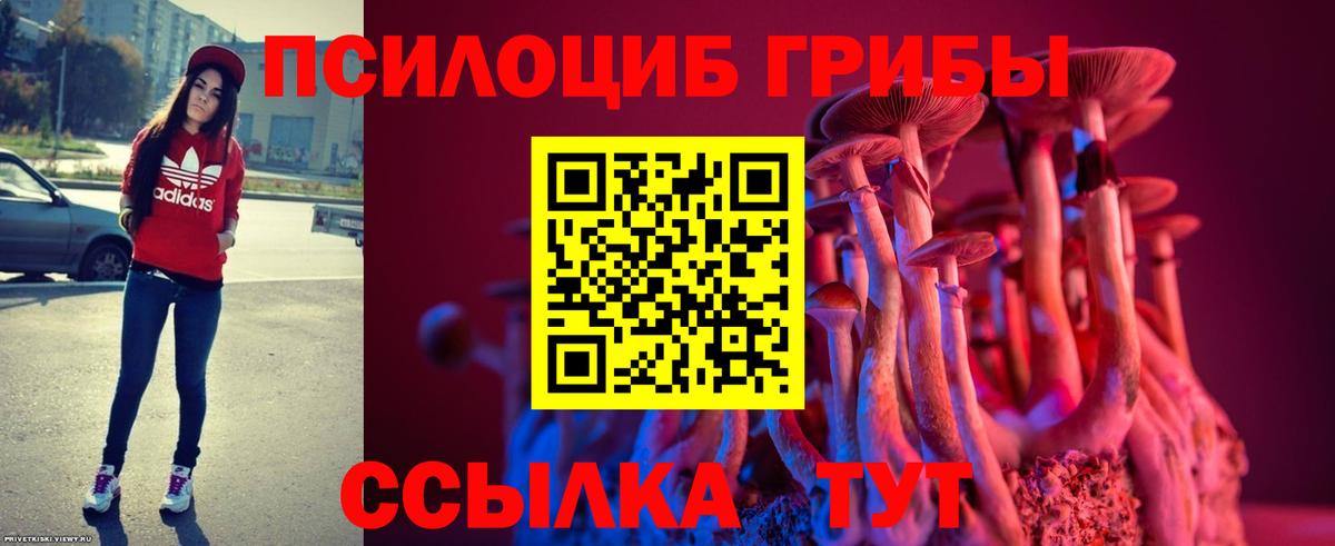 Псилоцибиновые грибы Psilocybine cubensis Батайск